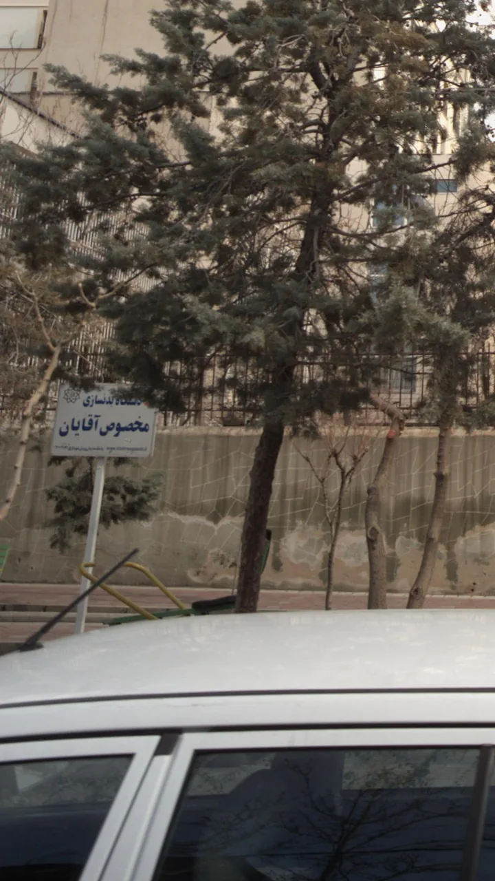 دستگاه بدنسازی مخصوص آقایان - تصویر 3