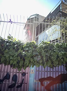 مجموعه ورزشی اریکه قرن