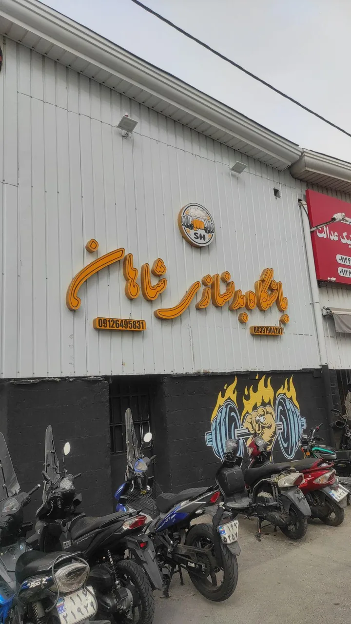 باشگاه بدنسازی شاهان - تصویر 3