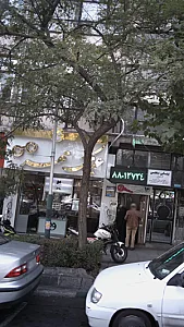 عینک مهر