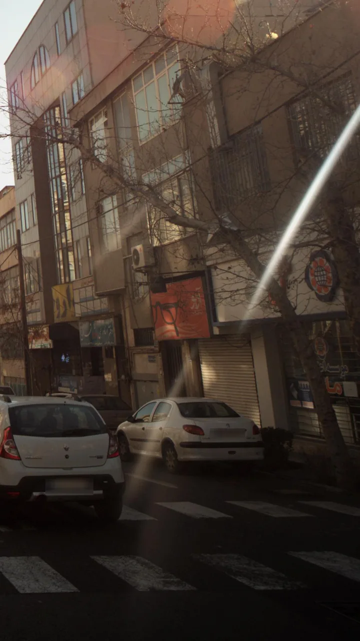 آریو - تصویر 2