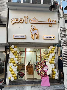 عینک دیدنی