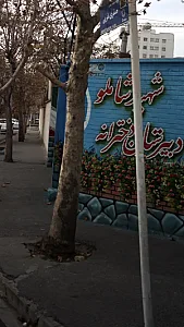 مدرسه شهید شاملو