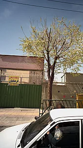 دبیرستان دخترانه حضرت زینب کبری (س)