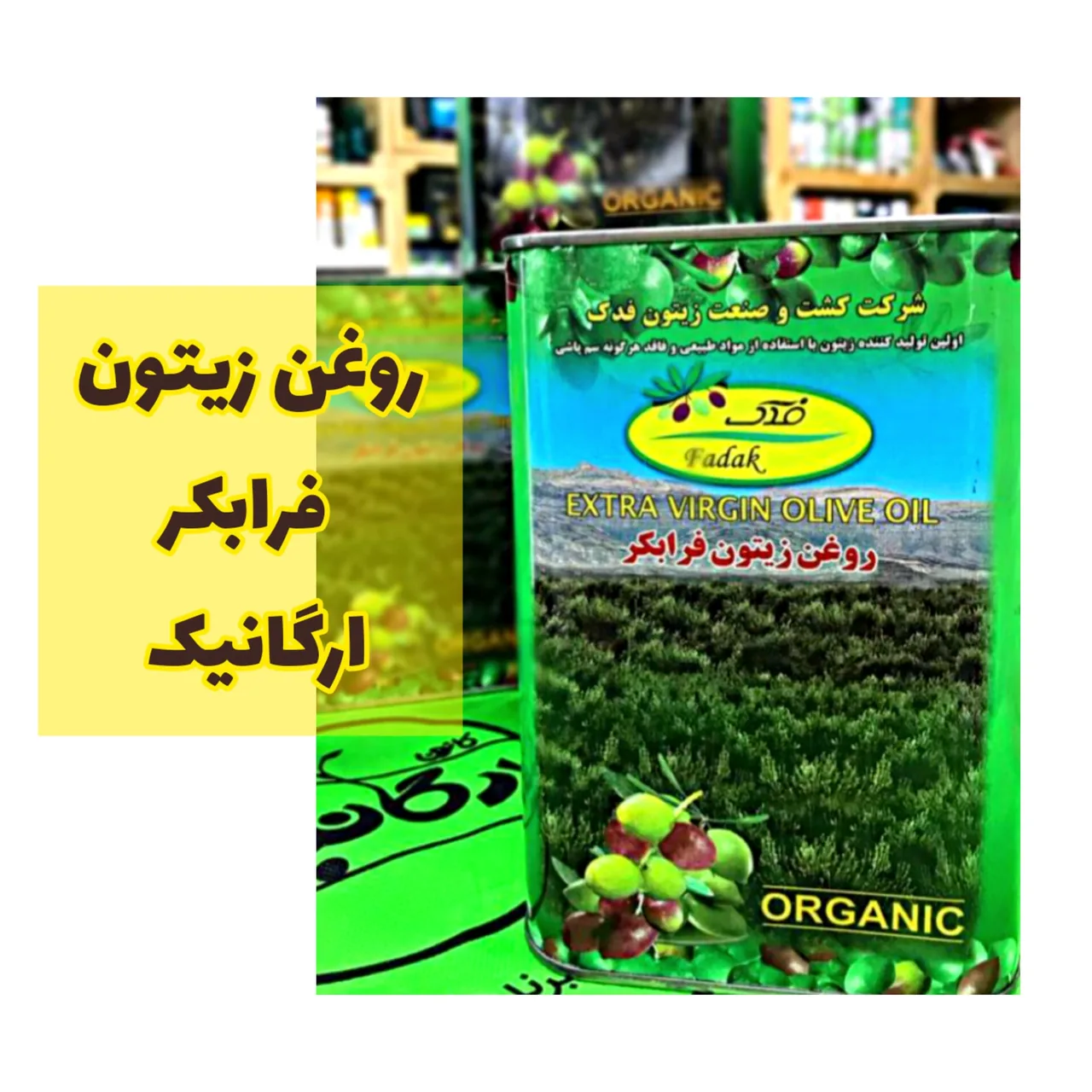 کانون ارگانیک - تصویر 5