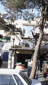 سبزی خرد کنی