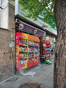 ثامن