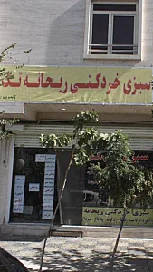 سبزی خرد کنی ریحانه تک