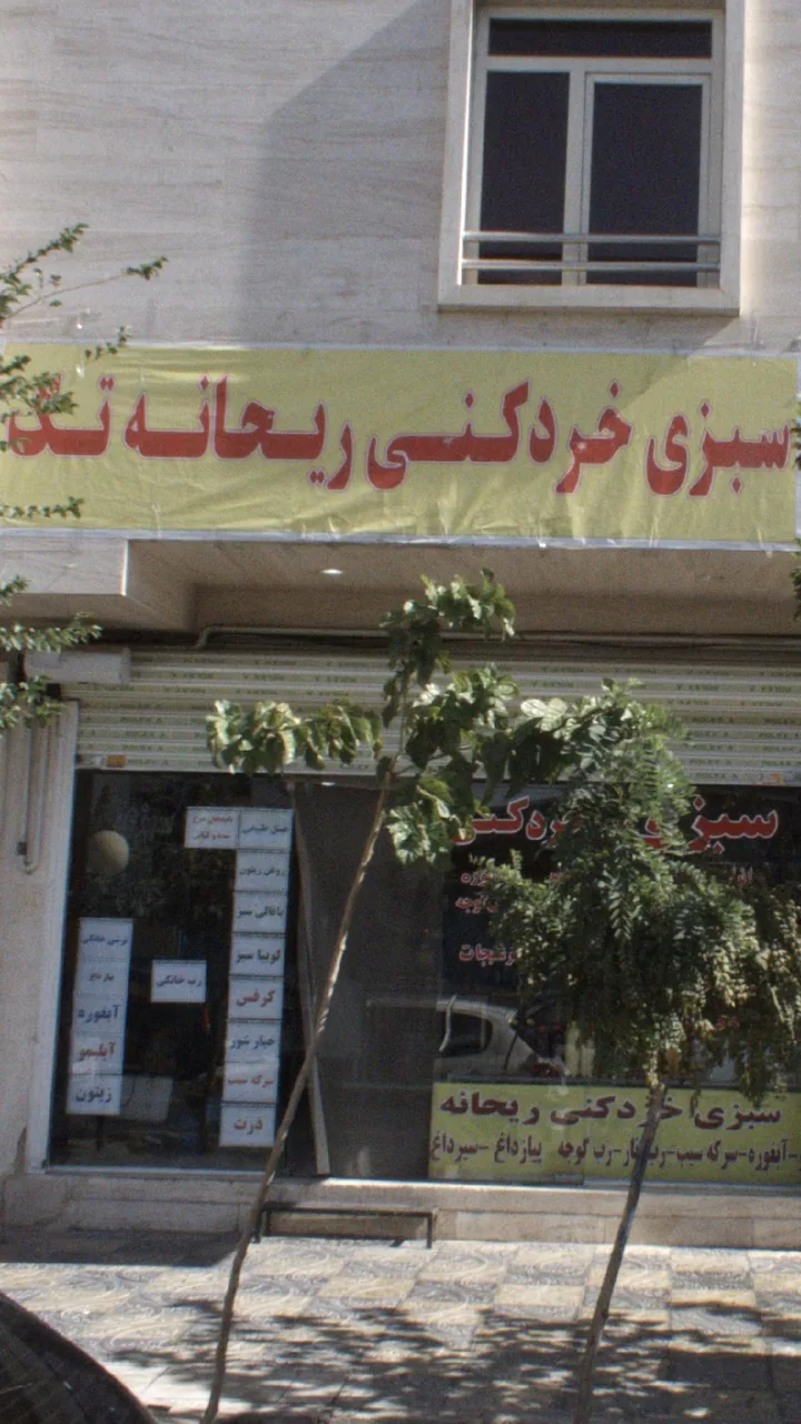 سبزی خرد کنی ریحانه تک