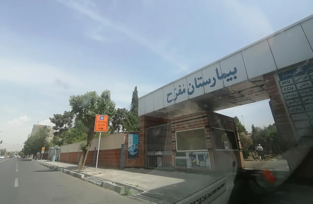 بیمارستان مفرح - تصویر 2
