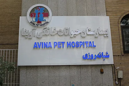 بیمارستان حیوانات