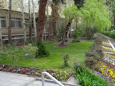بیمارستان روانپزشکی رضاعی
