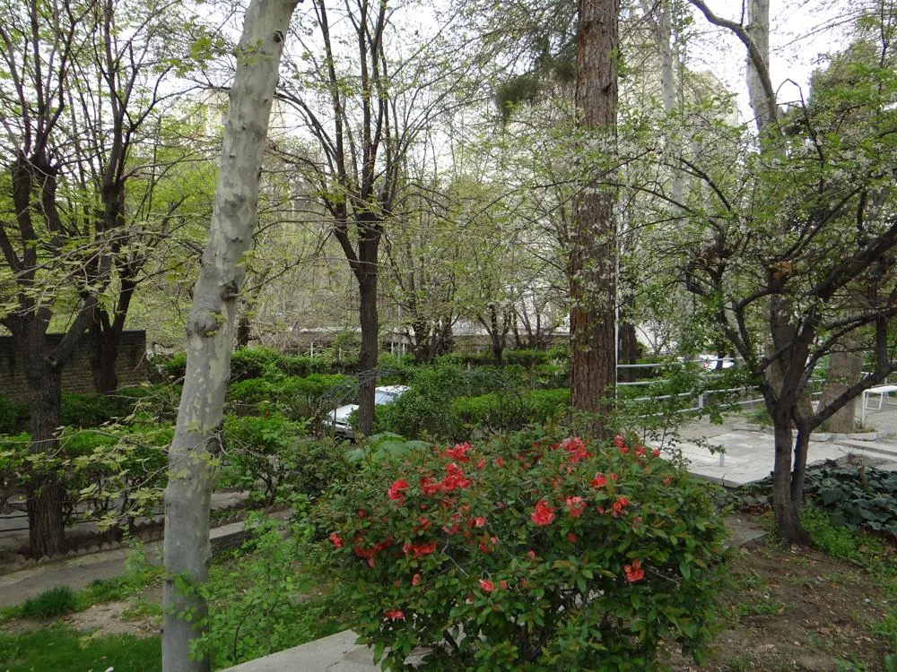 بیمارستان روانپزشکی رضاعی - تصویر 4