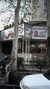 شرکت خدمات مسافرتی ققنوس