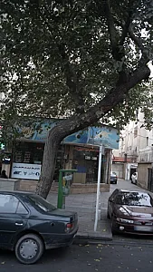 نمایندگی مجاز فروش بلیت قطارهای مسافری سفیر