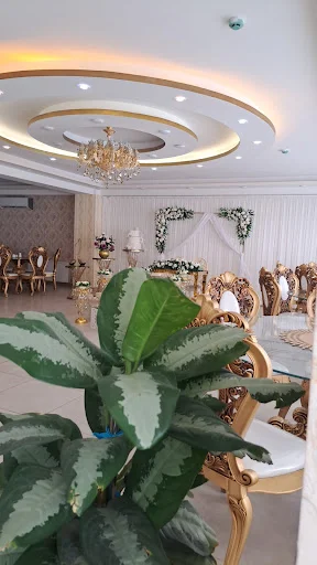 دفتر رسمی ازدواج ۲۴۶