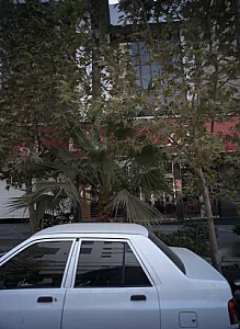 شرکت هواپیمایی امارات