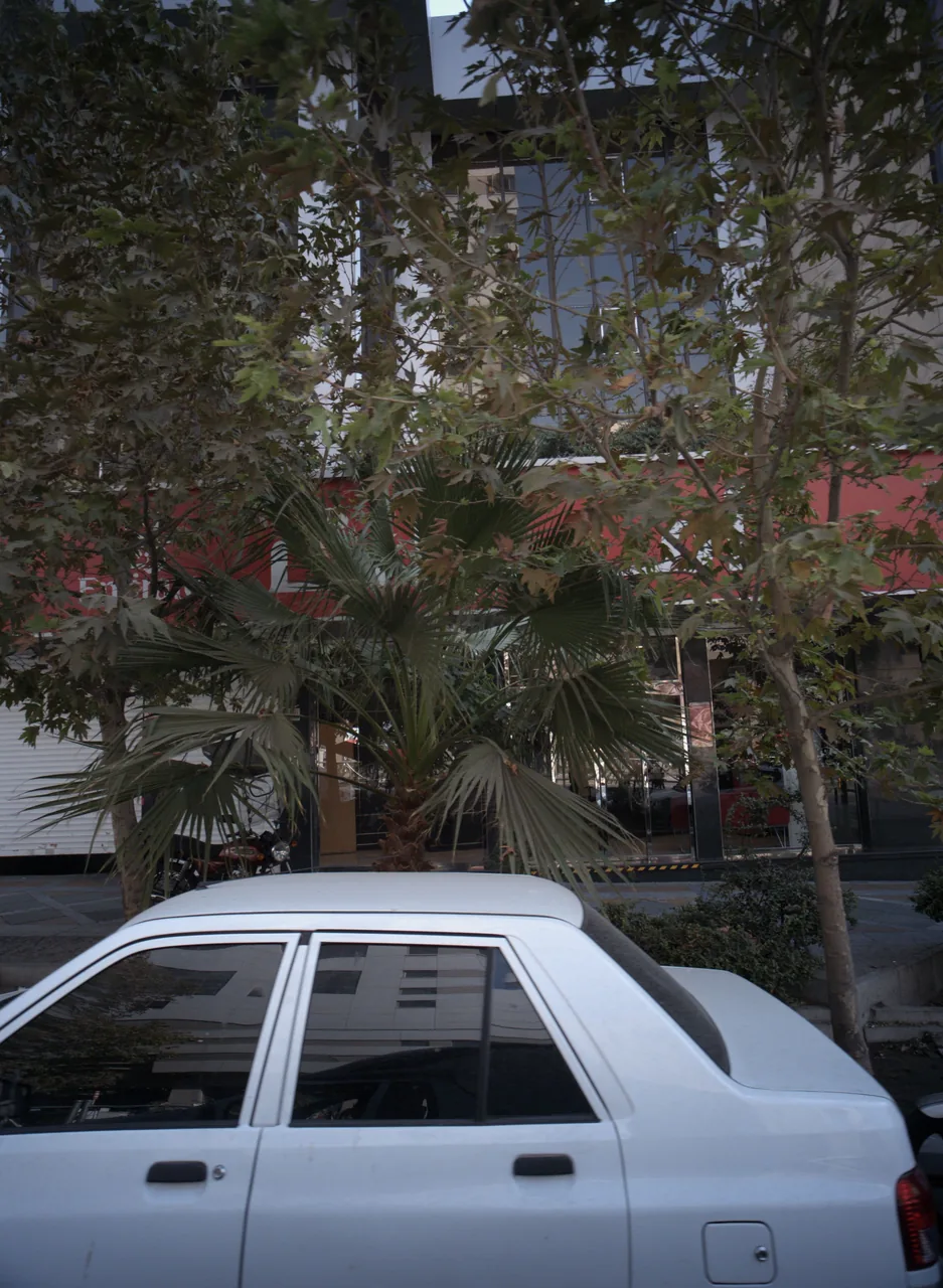 شرکت هواپیمایی امارات