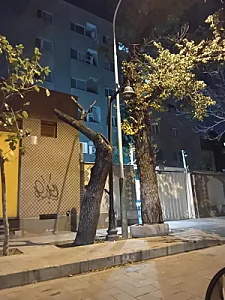 مهمانسرای دانشگاه علوم پزشکی اصفهان