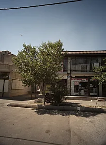 فروشگاه تسکو