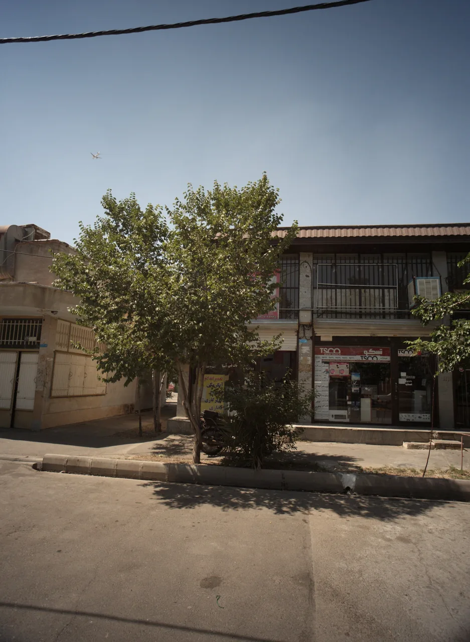 فروشگاه تسکو
