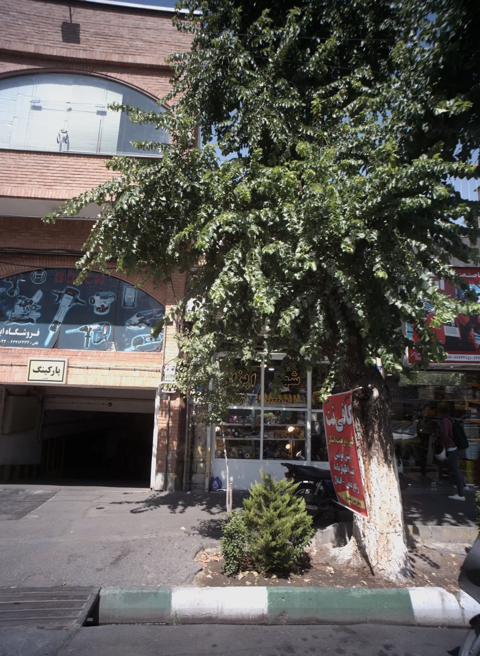 کافی نت