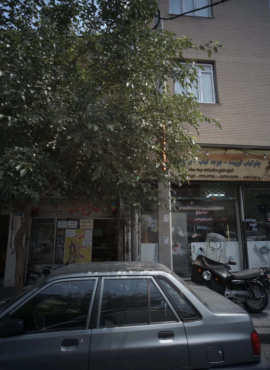 دکتر فنی دانشجویان