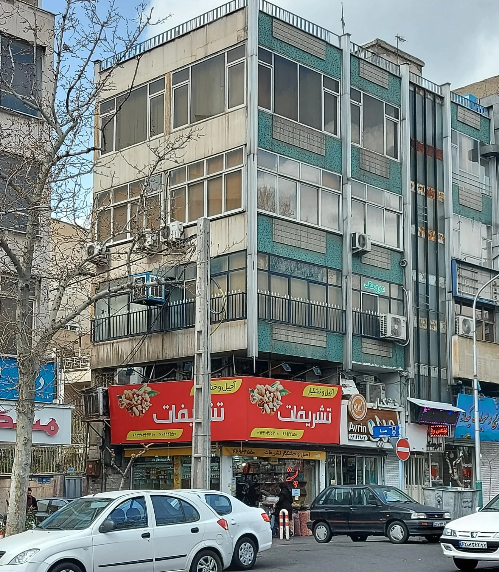 پندوک - تصویر 2
