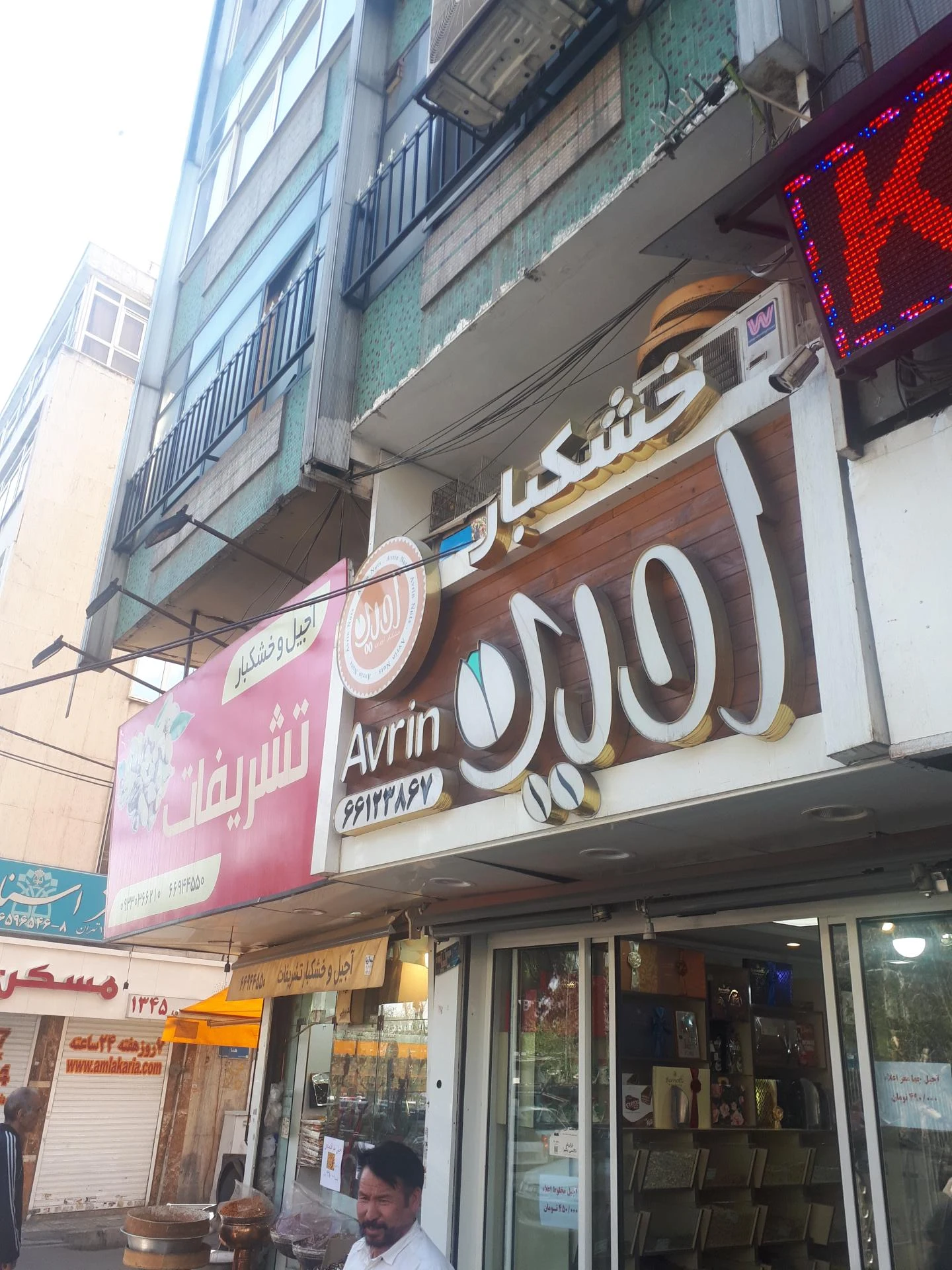 پندوک - تصویر 3