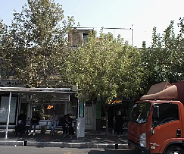 فروشگاه خشکبار ایلیا