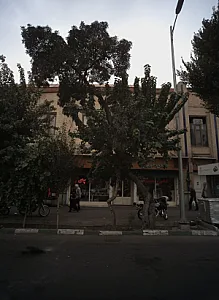آجیل شکلات چای
