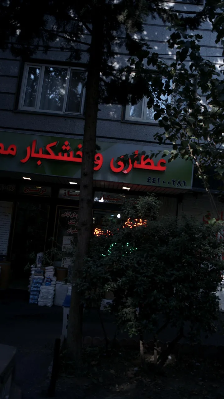 عطاری و خشکبار ممتاز - تصویر 2