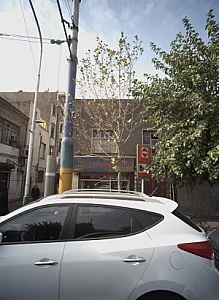 پخش خشکبار گنجینه نو