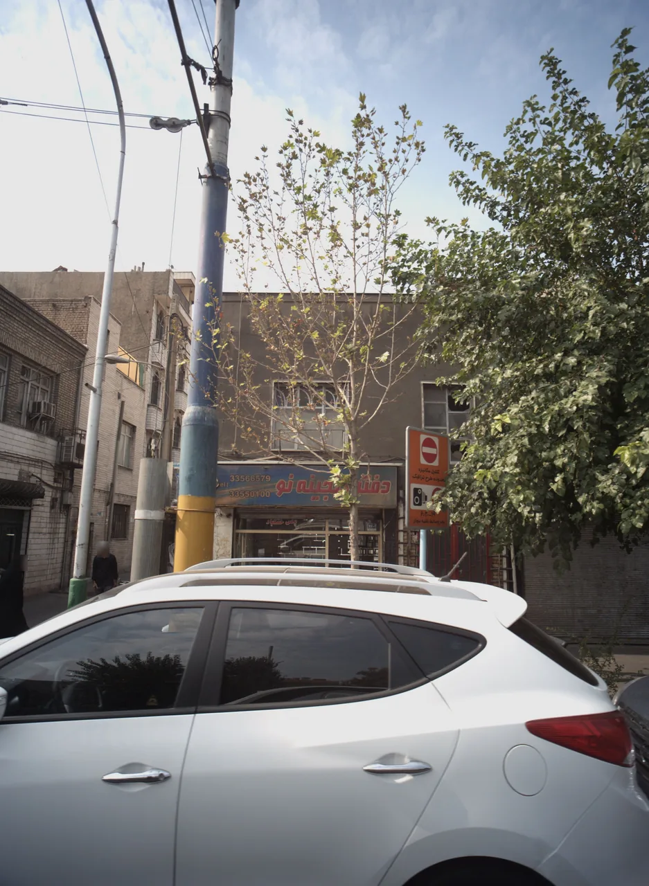 پخش خشکبار گنجینه نو