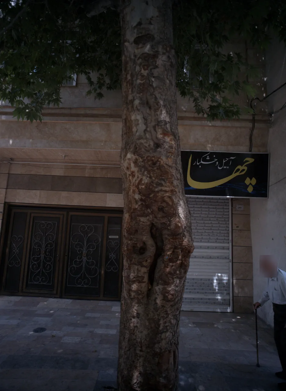 آجیل و خشکبار چهارمزه