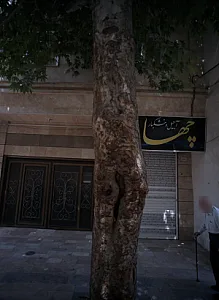 آجیل و خشکبار چهارمزه