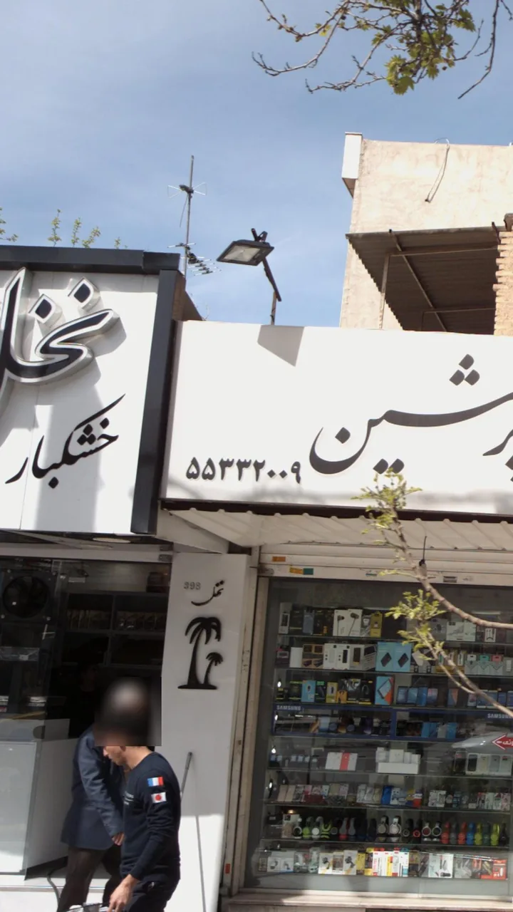 خشکبار نخل - تصویر 4