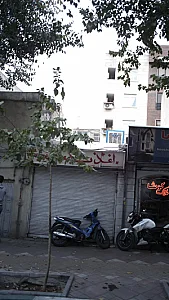 نخلستان کوثر