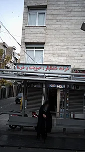 خشکبار مسعود