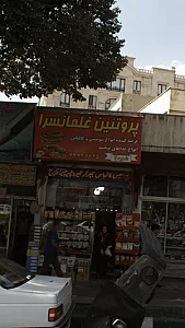 پروتئین غلمانسرا