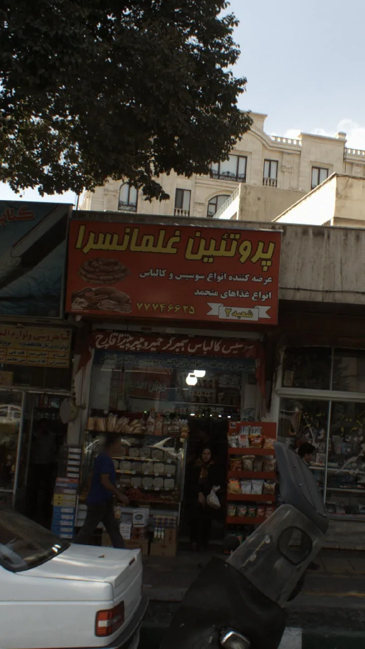 پروتئین غلمانسرا