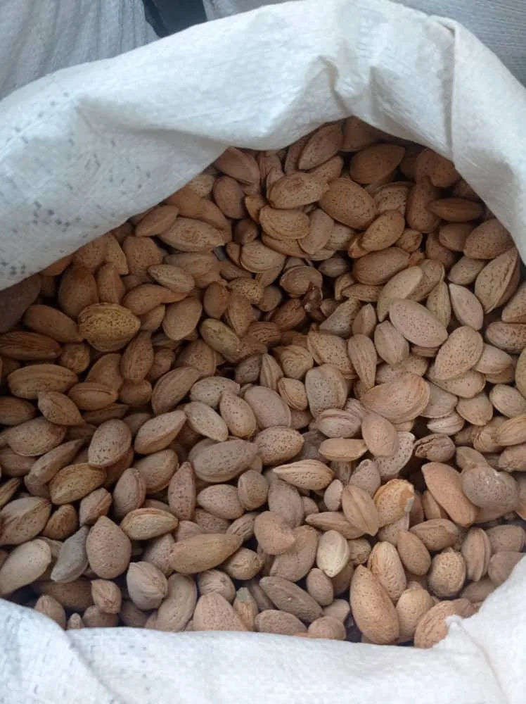 خرما و خشکبار مسلم رجبی - تصویر 5