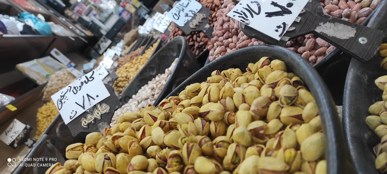 امیر آجیلی - تصویر 2