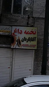 تخمه داغ افتابگردان