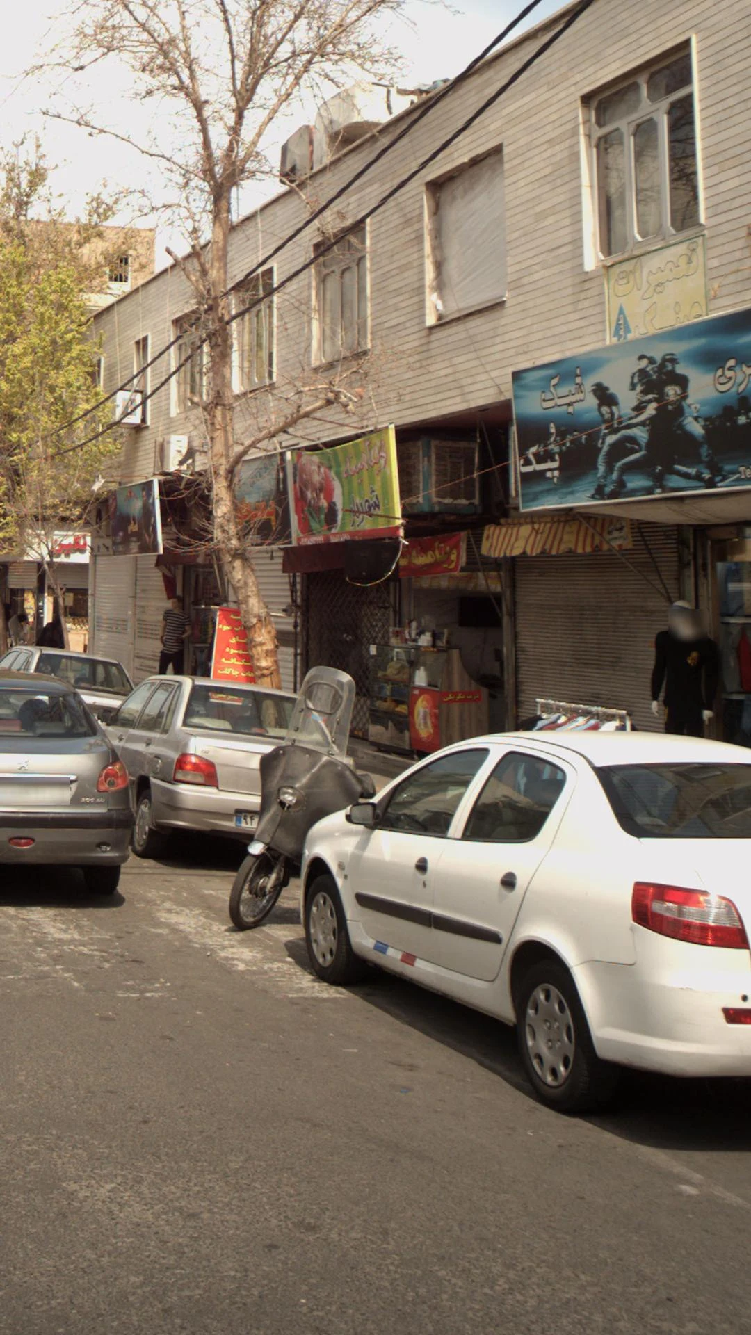 سبزی خرد کنی بانو