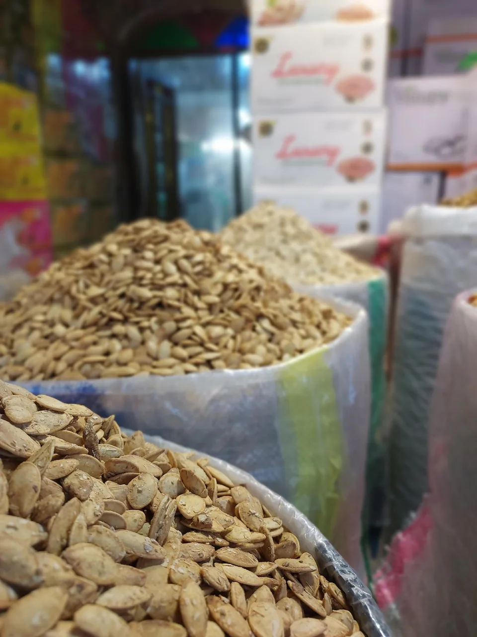 خشکبارامیر(استاد رضا احمدی) - تصویر 2