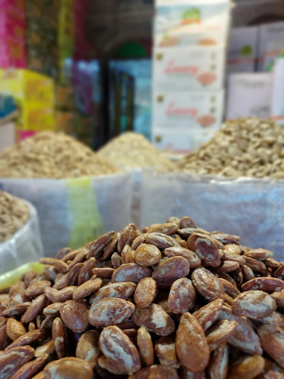 خشکبارامیر(استاد رضا احمدی) - تصویر 3