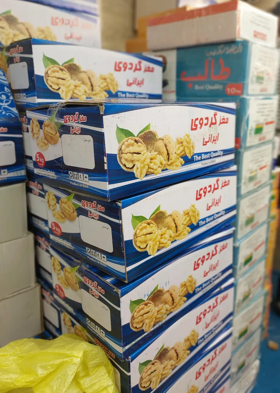 خشکبارامیر(استاد رضا احمدی) - تصویر 4
