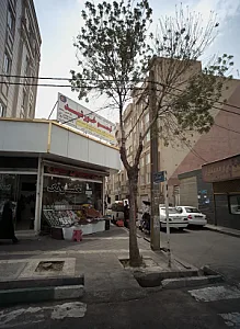 فروشگاه خشکبار نخلستان تک