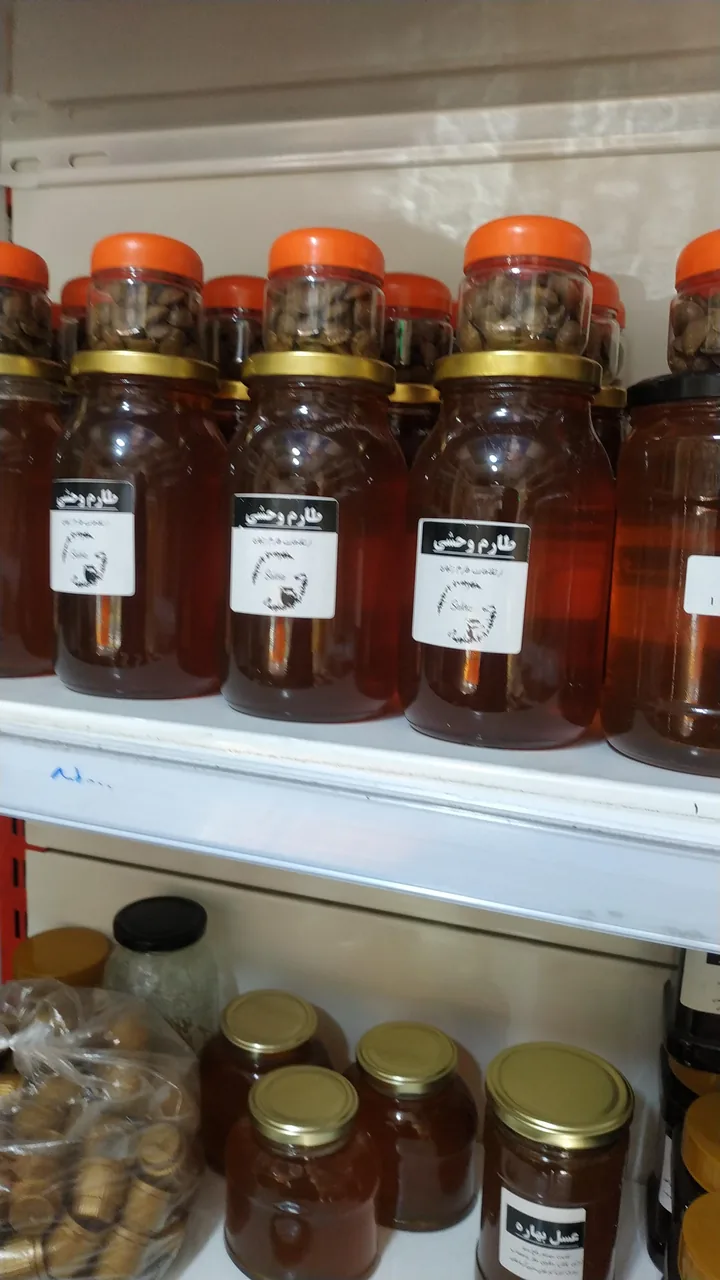 عسل سالویا - تصویر 6